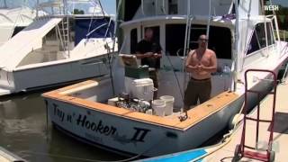 Great White Shark Tracked Through Ocean
