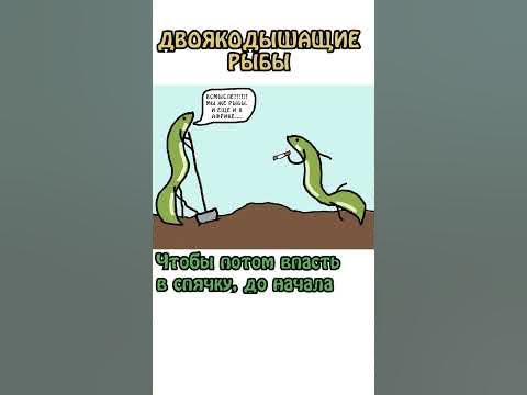 Двоякодышащие рыбы - YouTube