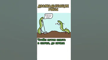 Двоякодышащие рыбы