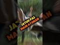 Jatuh Pas Main Ayunan🤣