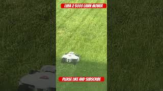 Luba 2 5000 robot lawn mower #shorts