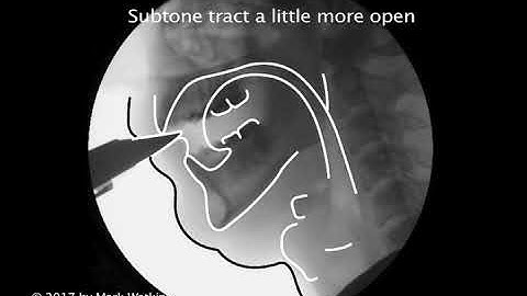 Chapter 14: 02 JAZZ: Low Notes