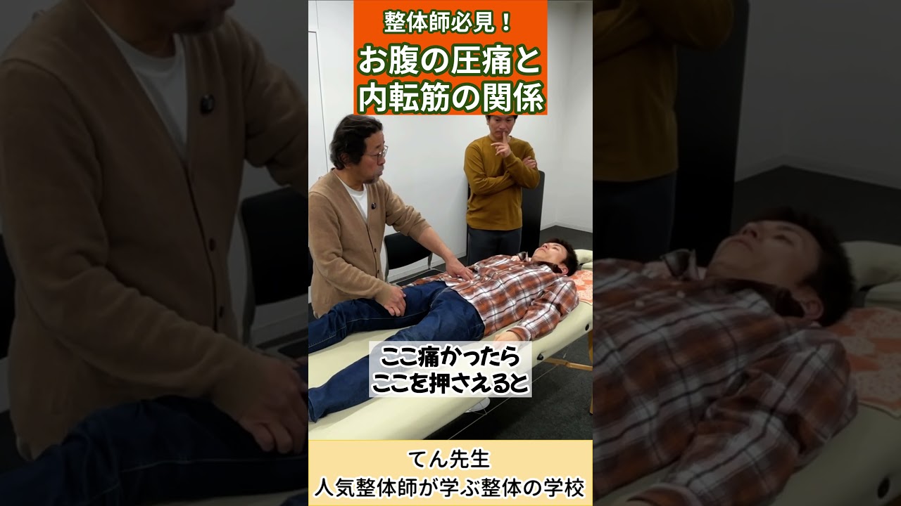 【整体師必見!】お腹の圧痛と内転筋の関係