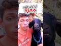 أنا كان عندى معزة  