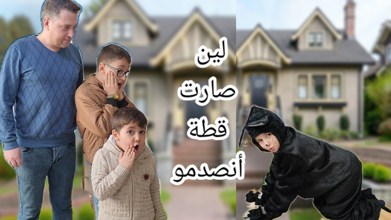 لين صارت قطة كبيناها بلشارع ضلت بلا أكل هجمت علينا وشحرتنا