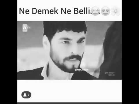 Hercai (Miran Reyhan) ne demek ne beli kılipleri