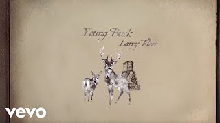 Larry Fleet - Young Buck (Lyric Video) chords