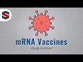 How mRNA Vaccines Work - Simply Explained