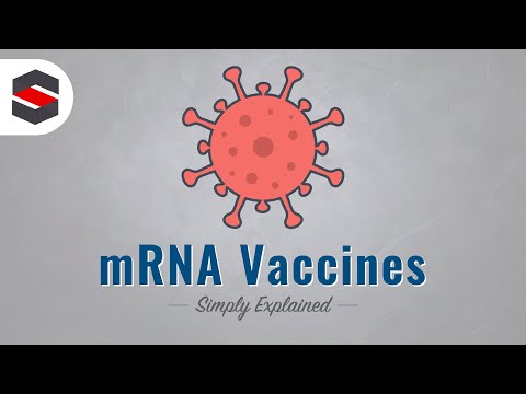 How mRNA Vaccines Work - Simply Explained