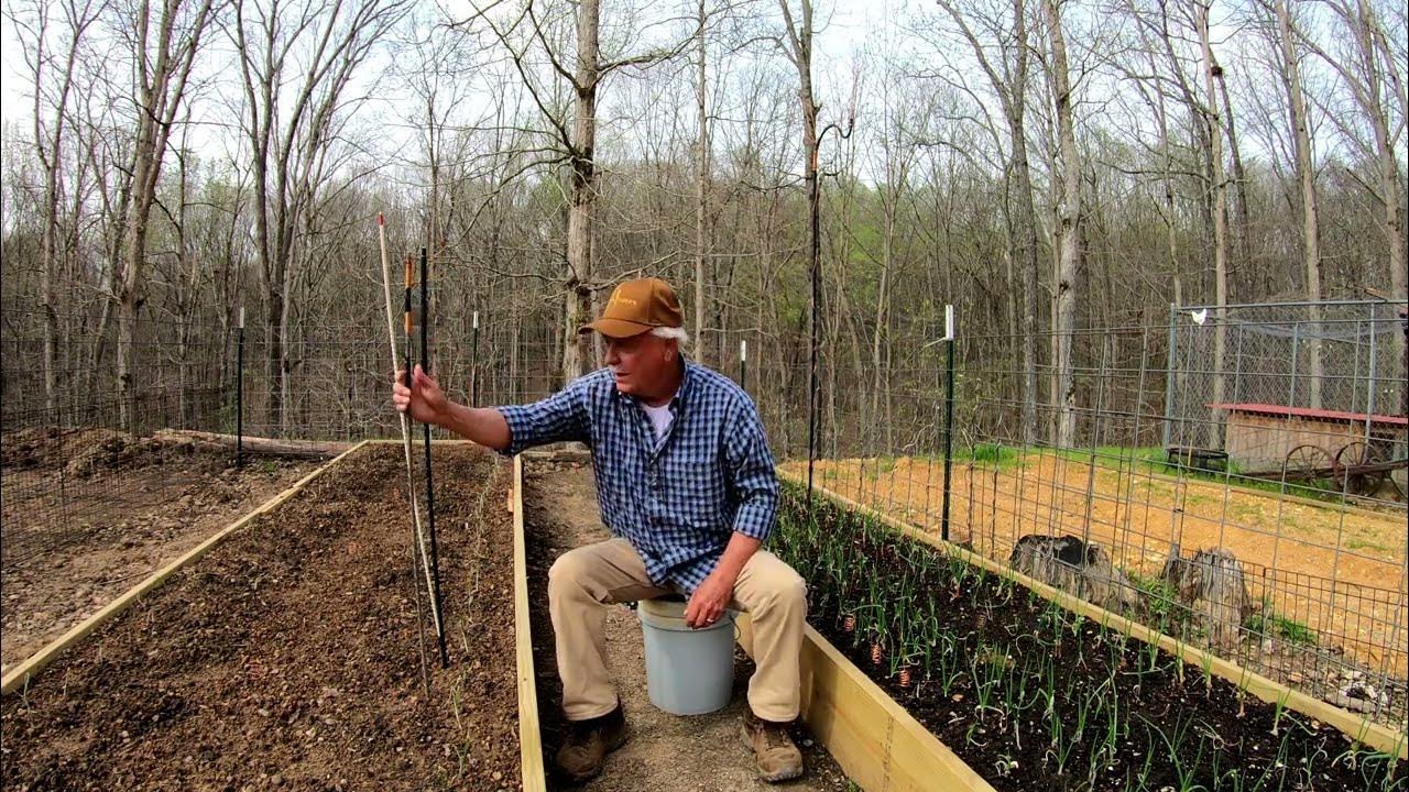 Electroculture Gardening with Copper Antennas. What's all the Fuss about? 