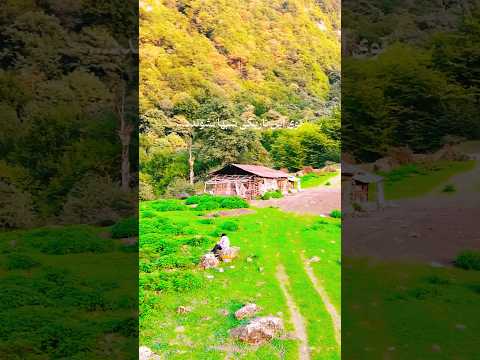 ول کردم و زندگی خودش راهشو رفت  کمپینگ سفر عشق 