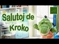 Esperanto Facila - Salutoj de Kroko