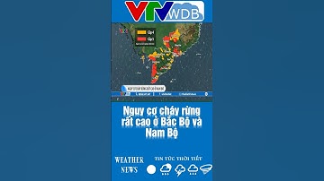 Nguy cơ cháy rừng rất cao ở Bắc Bộ và Nam Bộ | VTVWDB