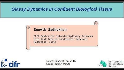 Glassy Dynamics in Confluent Biological Tissue| Using Cellular Potts Model (CPM)