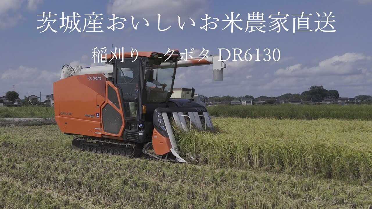 稲刈り開始 クボタ DR6130 食味 収量センサー付きコンバイン - YouTube