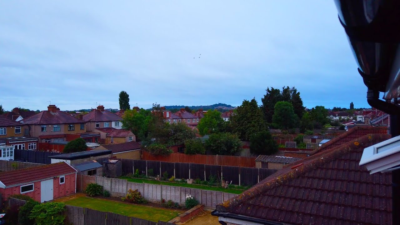 【4K】Garden View - Soundscape In London Suburbs Early In The Morning - (Best With Headphones)