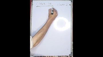 Class 7 - Mathematics - Chapter 1 - Lecture 1 - Introduction of Sets -