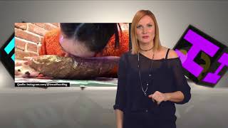 Inside Insta Bei Shuffle Breadfacing