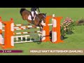 A-List Auction 2022 - Yearlings | Lot 15 | Viper V'ant Ruytershof