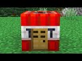 Whats inside a tnt