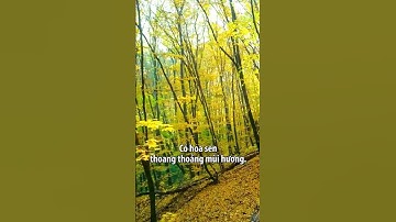 Lời Phật dạy Kinh pháp cú - Câu 56-57-58-59 | Sống tỉnh thức giác ngộ