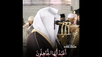 تلاوة إبداعية للشيخ ياسر الدوسري من سورة الزمر.  1441.