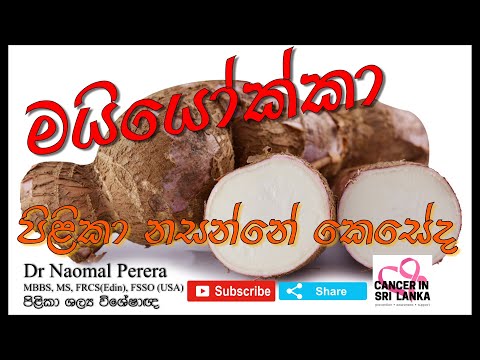 Can Manioc (Cassava) kill cancer cells. මයියොක්කා වලට පිළිකා සෛල විනාශ කල හැකිද ?