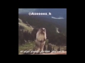 شطحة مقاطع مضحكة