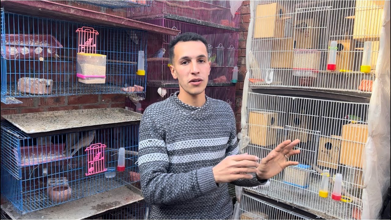 مش هتصدق الطفرات اللي عند الدكتور😉يا ترى ايه العصفور الى هنتكلم عنو فلفديو؟❤️😂١٢ فبراير، ٢٠٢٥