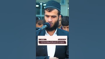 سورة الإخلاص تلاوة رزكار محمد الكردي.             #quran #قرآن #islam #explore #fyp #islamicstatus