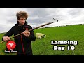 WE LOST A COUPLE OF LAMBS TODAY  |  Vlog 10 - Lambing 2021