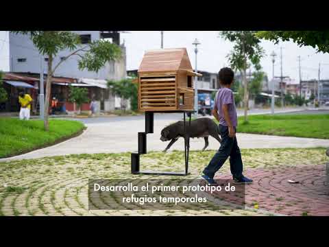 La Casita del Barrio (Refugio Temporal para animales en abandono) Natura Futura