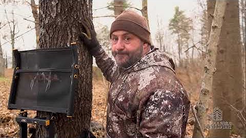 Tree Stand Safety - Bowhunter Basecamp