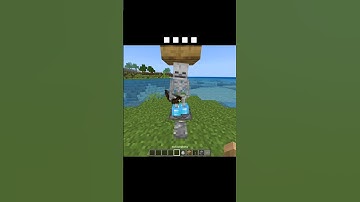 Minecraft grappig skelet