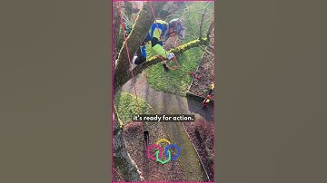 hands UP  - Rig smarter, not harder #hexarope #treerigging #treeclimbing #treeclimber #arborist