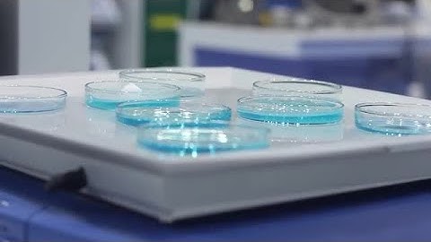 Shaking Test Samples In Laboratory Stock Video