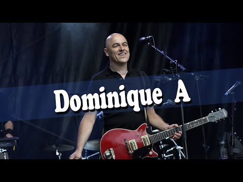 Dominique A - Le Courage des oiseaux | Histoire imaginaire d'une chanson