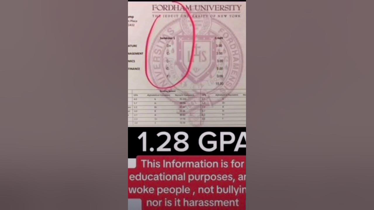 Gpa 1 28 trust fund baby donald trump is an idiot anytime he is not on