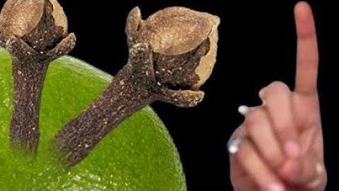 01 नवंबर देवउठनी एकादशी के दिन 1 हरे नींबू से कर लेना ये उपाय बनोगे धनवान Pradeep Ji Mishra