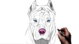How To Draw A Pitbull | Step By Step How To Draw A Pitbull | Step By Step