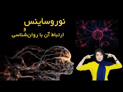نورو ساینس و ارتباط آن با روانشناسی