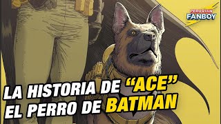 Ace - El perro de Batman - YouTube