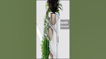 Indoor garden: Meet totam – the modular, automated, self-watering.