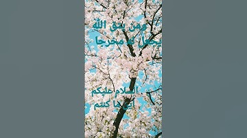 القرآن الكريم/سورة الإسراء القارئ الحاج عامر الكاظمي/اللهم صلى وسلم على نبينا محمد