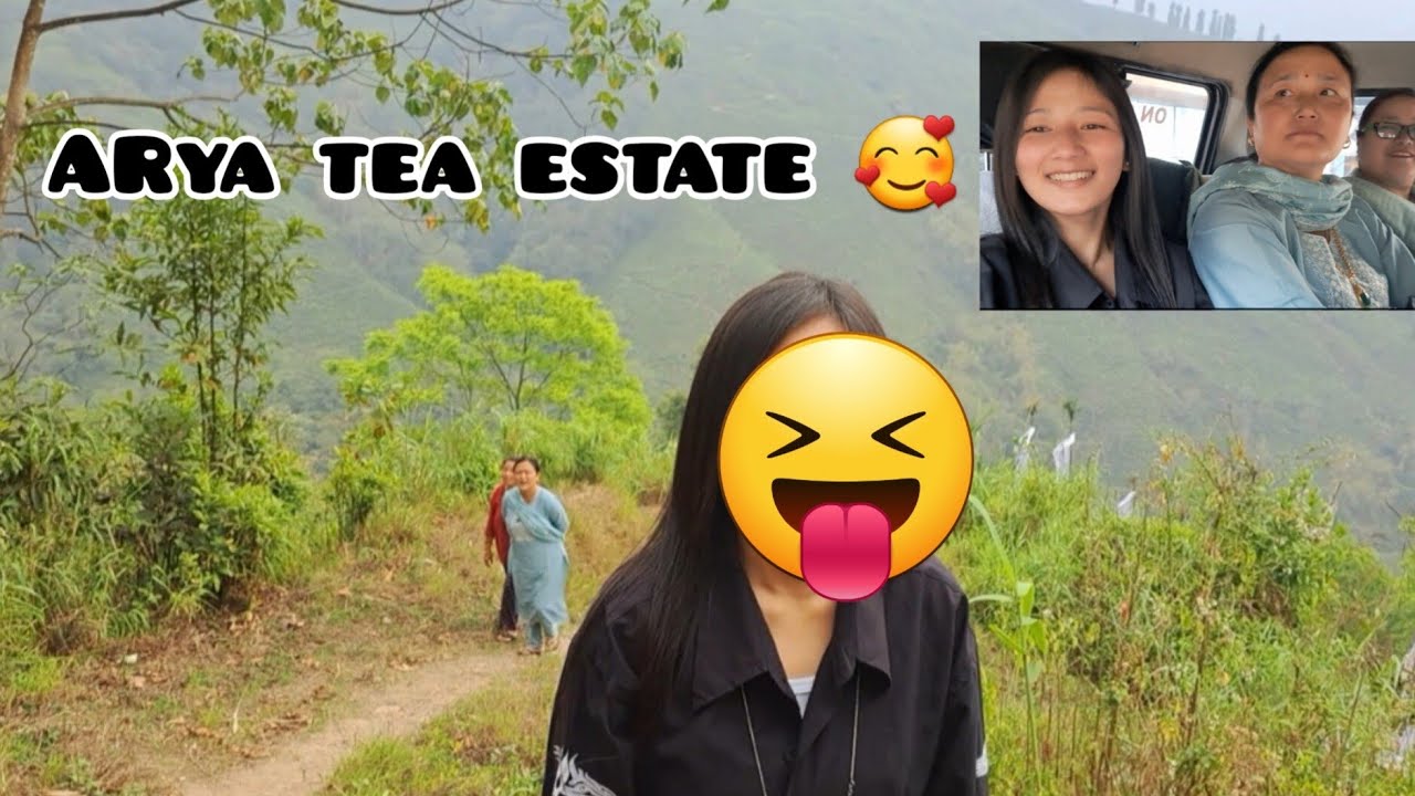 Arya tea estate 