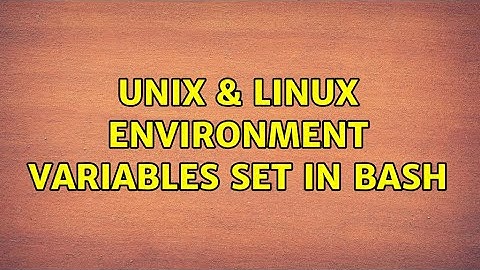 Unix & Linux: environment variables set in bash (2 Solutions!!)