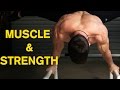 Optimal Training Method for Muscle & Strength