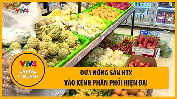 Đưa nông sản hợp tác xã vào kênh phân phối hiện đại | VTV4