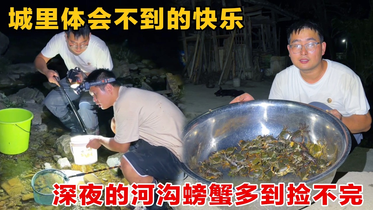 深夜下河才是惊喜，满地的螃蟹多到捡不完，这才是农村独有的快乐