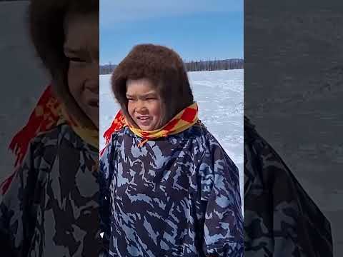 🤔 Путь сквозь снежные вершины. Работа оленеводов Крайнего Севера